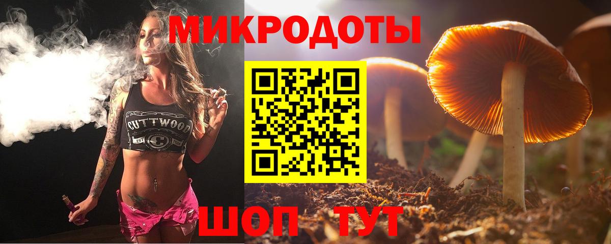 Галлюциногенные грибы мухоморы Губкин